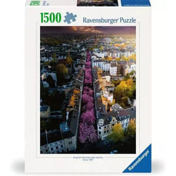 Ravensburger 12000730 Jeu de puzzle 1500 pièce(s) Autres