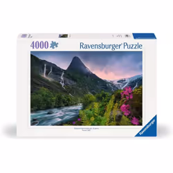 Ravensburger 12000811, 4000 pièce(s), Autres