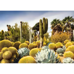 Ravensburger 12000850 Jeu de puzzle 1000 pièce(s) Paysage