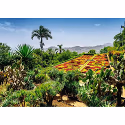 Ravensburger 12000853 Jeu de puzzle 1000 pièce(s) Autres