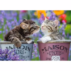Nathan puzzle 1000 p - Bisous de chatons