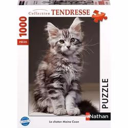 Nathan puzzle 1000 p - Le chaton Maine Coon, 1000 pièce(s), 12 an(s)
