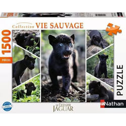 Nathan Pz Jaguar my love 1500p