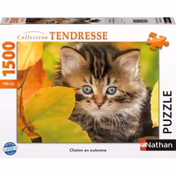 Nathan puzzle 1500 p - Chaton en automne, 1500 pièce(s), 14 an(s)