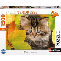 Nathan puzzle 1500 p - Chaton en automne