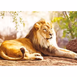 Nathan puzzle 1500 p - Le roi de la savane