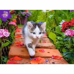 Nathan puzzle 500 p - Chaton au jardin
