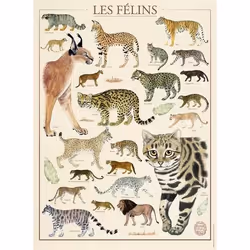 Nathan puzzle 500 p - Les félins / Muséum national d'Histoire naturelle