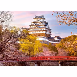 Puzzle 1000 pièces Château de Himeji Japon Collection Highlight dès 14 ans Château 12001316 Ravensburger