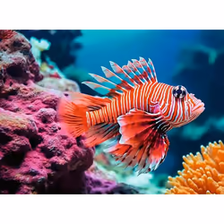 Ravensburger 12.001.334 puzzle Jeu de puzzle 500 pièce(s) Aquatique