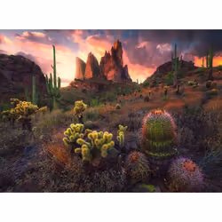 Ravensburger 12.001.380 puzzle Jeu de puzzle 500 pièce(s) Paysage
