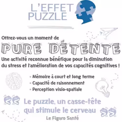 Ravensburger Puzzle 500 pièces - Voyage en montgolfière Jeu de puzzle 500 pièce(s) Romantique - Vue supplémentaire 4