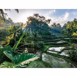 Puzzle 2000 pièces Au cœur de Bali Adultes et enfants dès 14 ans Collection Évasion 12001518 Nathan