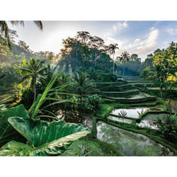 Puzzle 2000 pièces Au cœur de Bali Adultes et enfants dès 14 ans Collection Évasion 12001518 Nathan