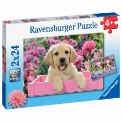 Ravensburger Puzzles 2x24 p - Amis tout doux, 24 pièce(s), Animaux, 4 an(s)
