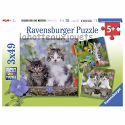 Ravensburger Puzzles 3x49 p - Chatons tigrés, 49 pièce(s), Animaux, 5 an(s)