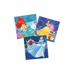 Ravensburger Puzzles 3X49 P - Aventure Des Princesses/Disney Princesses, 49 pièce(s), Dessins animés, 5 an(s)
