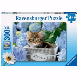 Ravensburger Puzzle 300 p XXL - Petit chaton, 300 pièce(s), Animaux, 9 an(s)