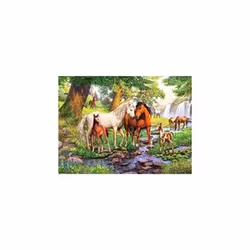Ravensburger 12904, 300 pièce(s), Animaux, 9 an(s)