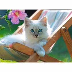Ravensburger Puzzle 200 p XXL - Chaton blanc