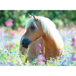 Ravensburger 13294 puzzle Jeu de puzzle 300 pièce(s) Animaux