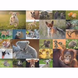 Ravensburger Puzzle 200 p XXL - Adorables bébés animaux, 200 pièce(s), 8 an(s)