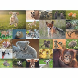 Ravensburger Puzzle 200 p XXL - Adorables bébés animaux