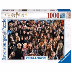 Ravensburger 1000 P - Harry Potter (Challenge Puzzle), 1000 pièce(s), Télévision/films, 14 an(s)