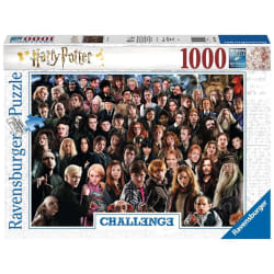 Ravensburger 1000 P - Harry Potter (Challenge Puzzle)