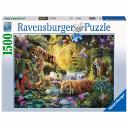 Ravensburger 1500 P - Tigres Au Plan D'Eau, 1500 pièce(s), Animaux, 14 an(s)