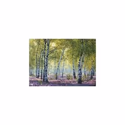 Ravensburger Birch Forest, 1000 pièce(s), Paysage, 14 an(s)