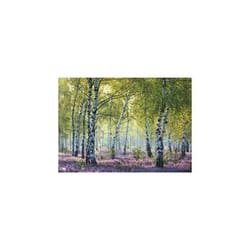 Ravensburger Birch Forest Jeu de puzzle 1000 pièce(s) Paysage