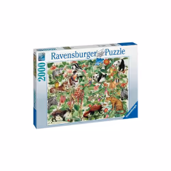 Ravensburger Selva, 2000 pièce(s), Animaux, 14 an(s)