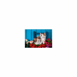 Ravensburger 16993, 500 pièce(s), Animaux