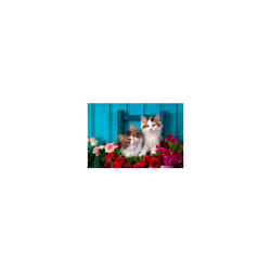 Ravensburger 16993 puzzle Jeu de puzzle 500 pièce(s) Animaux