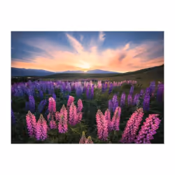 Ravensburger 17492, 500 pièce(s), Paysage, 12 an(s)