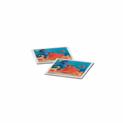 Ravensburger Grand memory Le monde de Dory, Jeu de société, Apprentissage, 4 an(s), Jeu familial