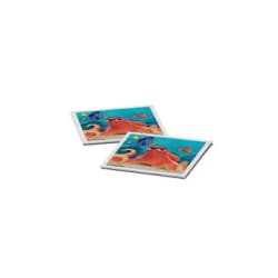 Ravensburger Grand memory Le monde de Dory