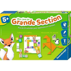 Ravensburger Mes jeux de grande section