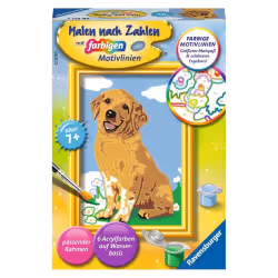 Ravensburger 28511, Kit de moulage/peinture pour enfants, 7 an(s)