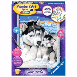 Ravensburger Numéro D'Art - Moyen - Doux Bisous De Husky, Garçon/Fille, 7 an(s), CE, République tchèque, Consumer Unit ou UVC ...