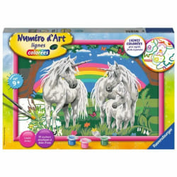 Ravensburger Numéro D'Art - Grand - Au Pays Des Licornes