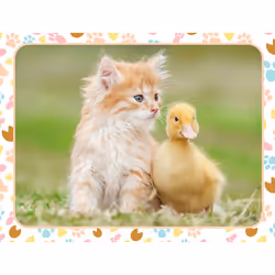 Nathan Puzzle 30 p - Chaton roux et bébé canard