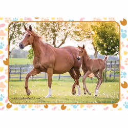 Nathan Puzzle 60 p - Maman et bébé cheval