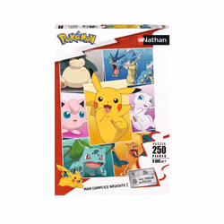 Nathan Puzzle 250 p - Types de Pokémon, 250 pièce(s), 8 an(s)
