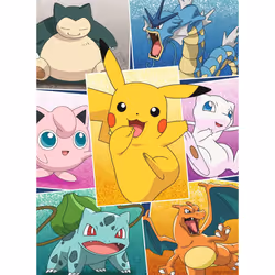 Nathan Puzzle 250 p - Types de Pokémon