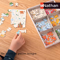Nathan Puzzle 250 p - Types de Pokémon