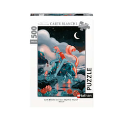 Nathan Puzzle 500 p - Minuit