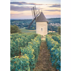 Nathan Puzzle 1000 p - Moulin Sorine du vignoble de Santenay, Bourgogne