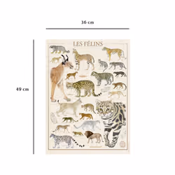 Nathan Puzzle 500 p - Les félins
